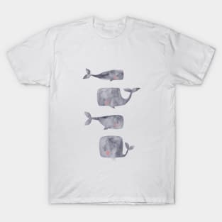 Gray Baby whales T-Shirt